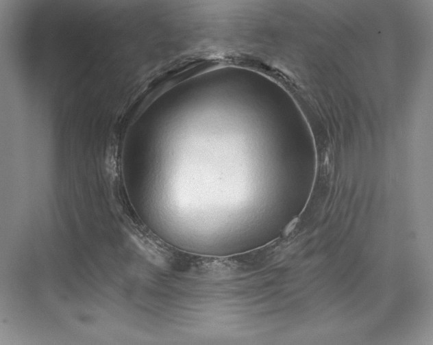 X0000076241348200609281129