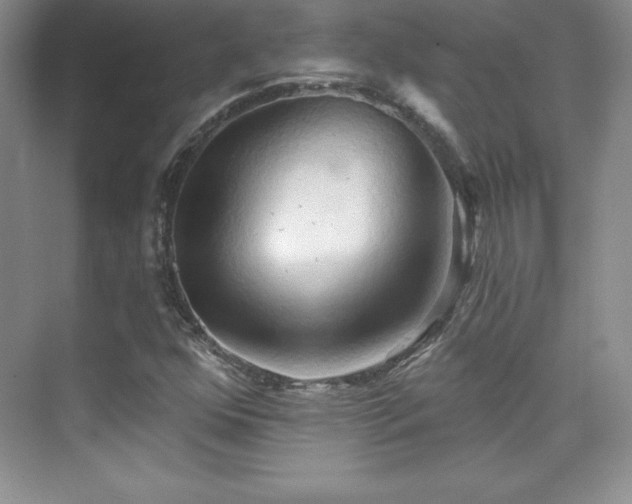 X0000076241352200609281129