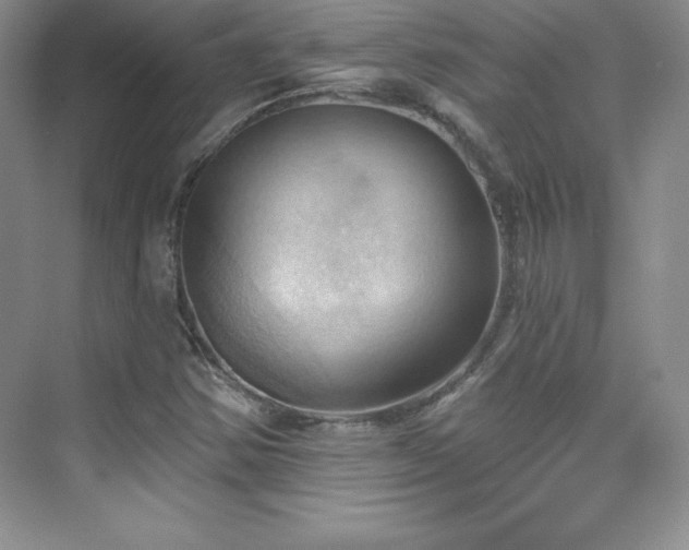 X0000076241354200609281129
