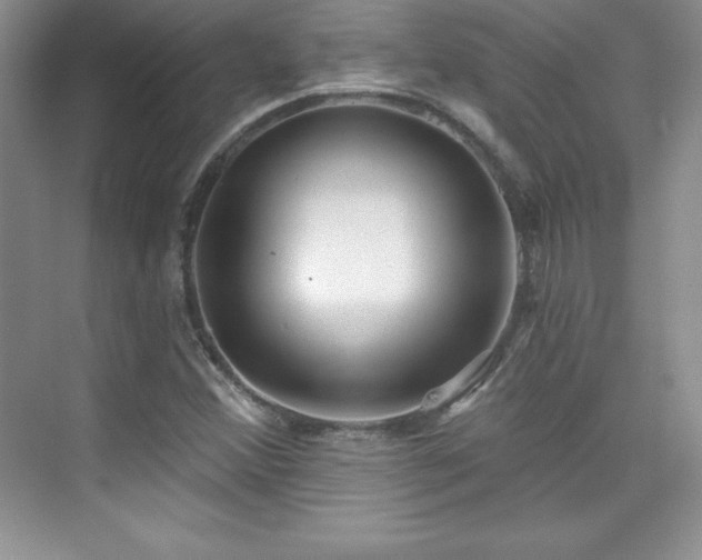 X0000076241356200609281129