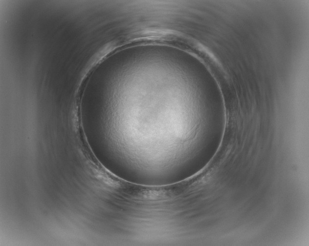 X0000076241362200609281129