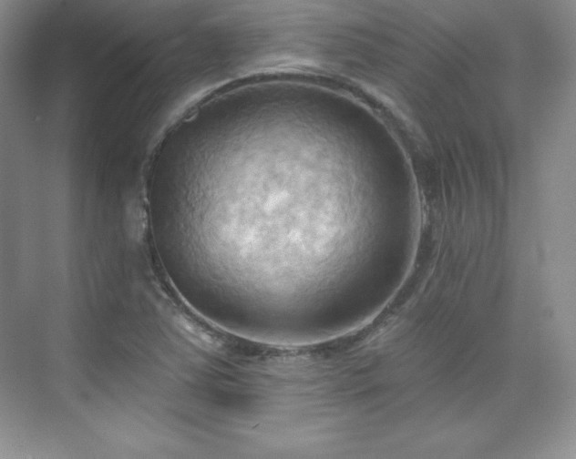 X0000076241363200609281129