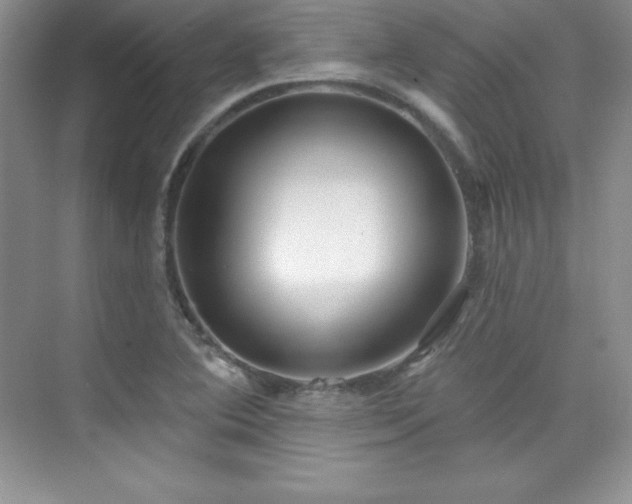 X0000076241364200609281129