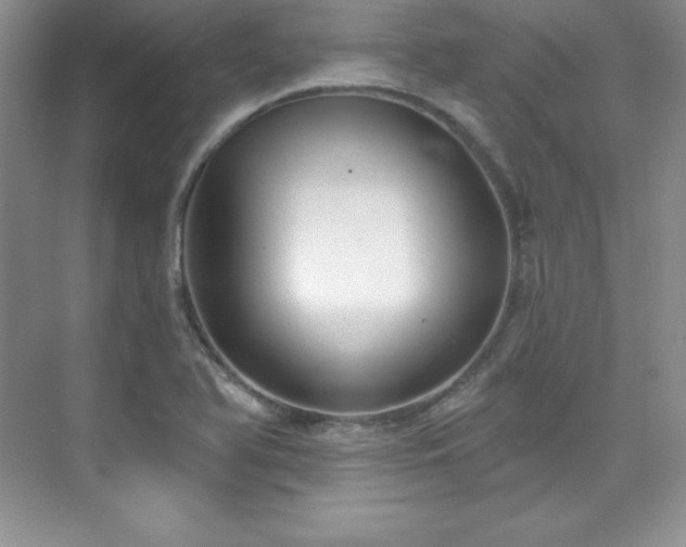 X0000076241366200609281129