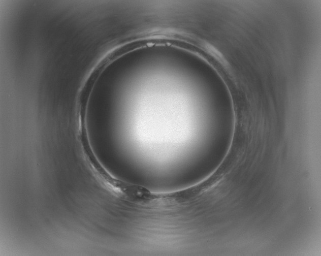 X0000076241368200609281129
