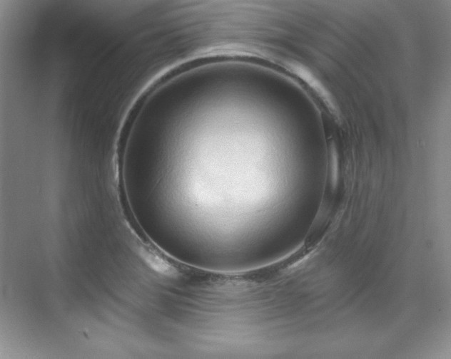 X0000076241372200609281129