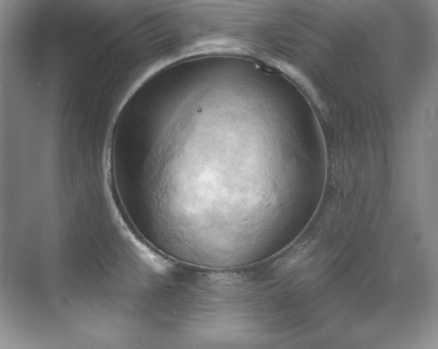X0000076241383200609281129