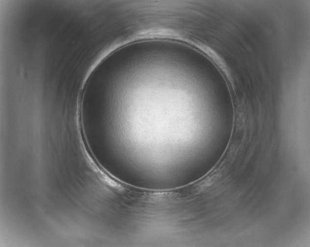 X0000076241390200609281129
