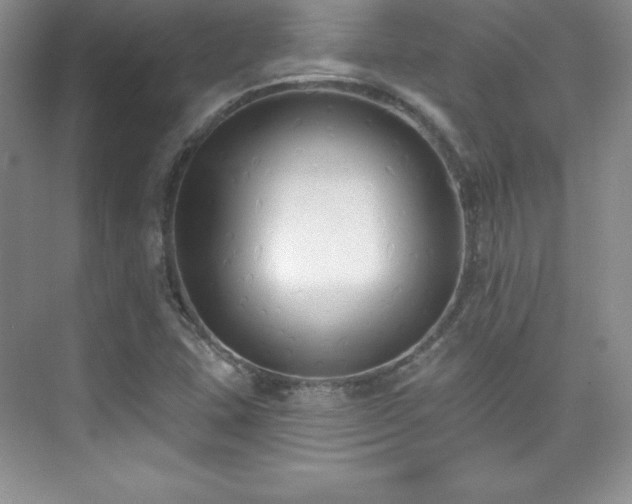 X0000076241407200609281128