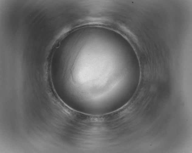 X0000076241411200609281128