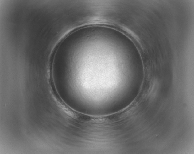 X0000076241415200609281128