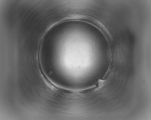 X0000076241417200609281128