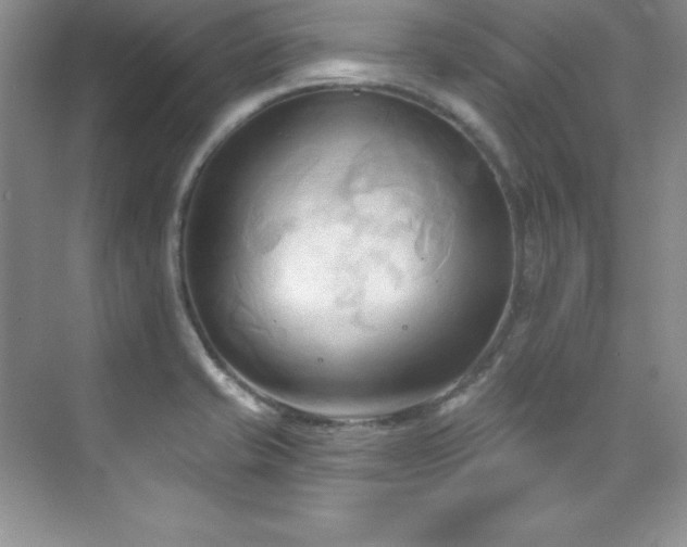 X0000076241421200609281128