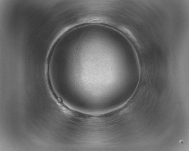 X0000076241424200609281128