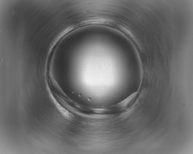 X0000076241426200609281128