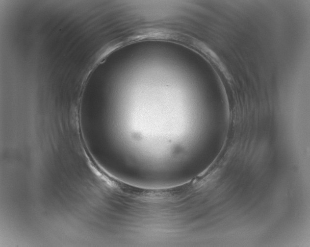 X0000076241433200609281128