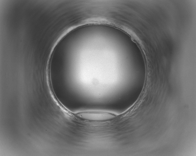 X0000076241440200609281128