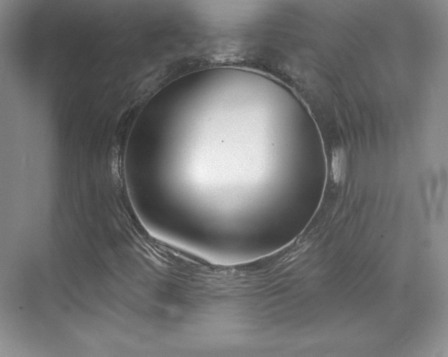 X0000076241444200609281128