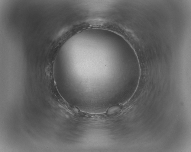 X0000076241445200609281128