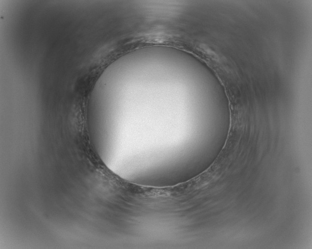 X0000076241446200609281128