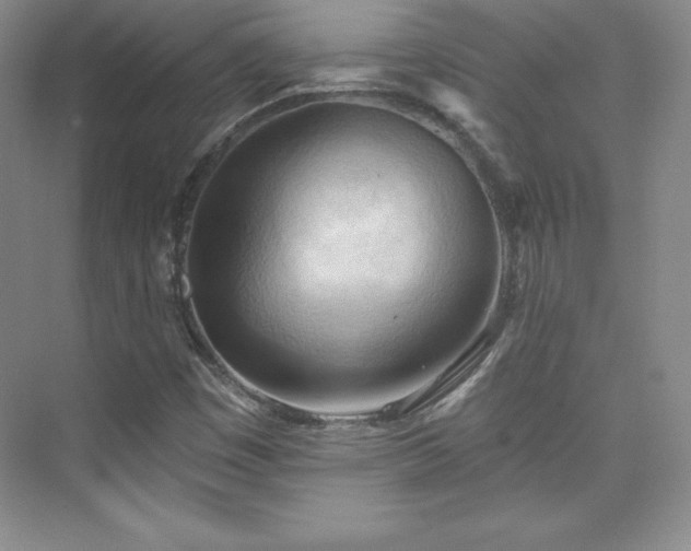 X0000076241449200609281128