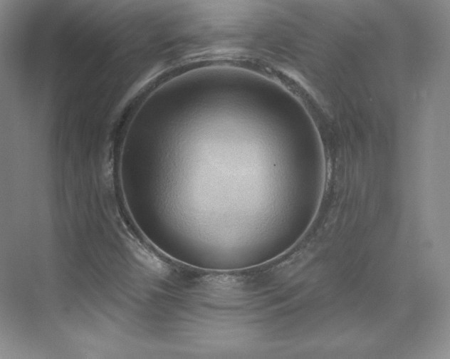 X0000076241450200609281128