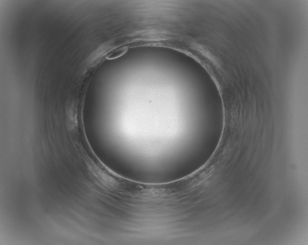X0000076241451200609281127