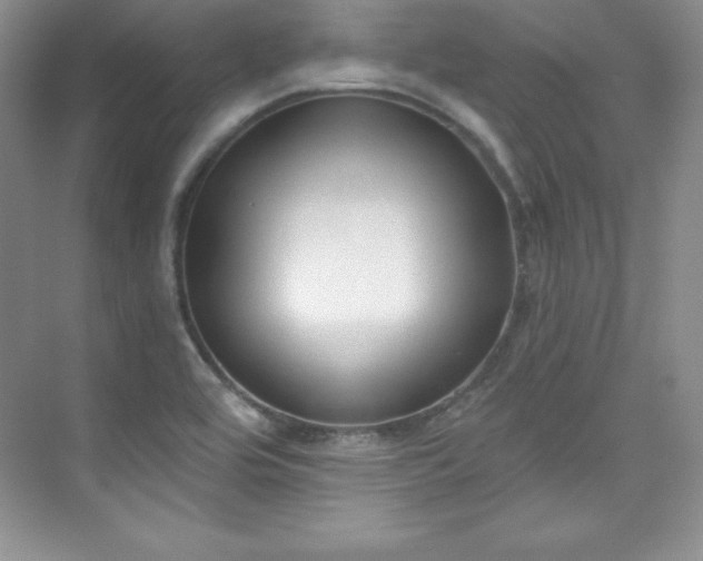 X0000076241464200609281127