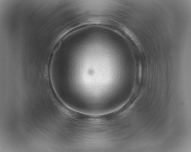 X0000076241465200609281127