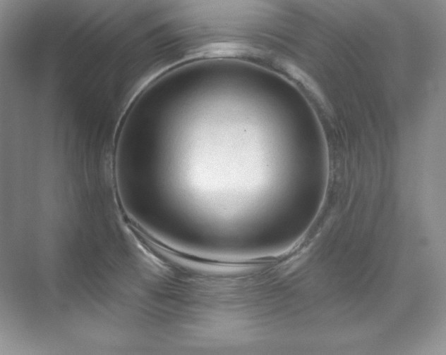 X0000076241473200609281127
