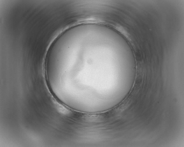 X0000076241474200609281127