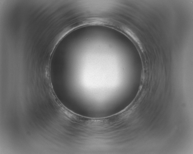 X0000076241481200609281127