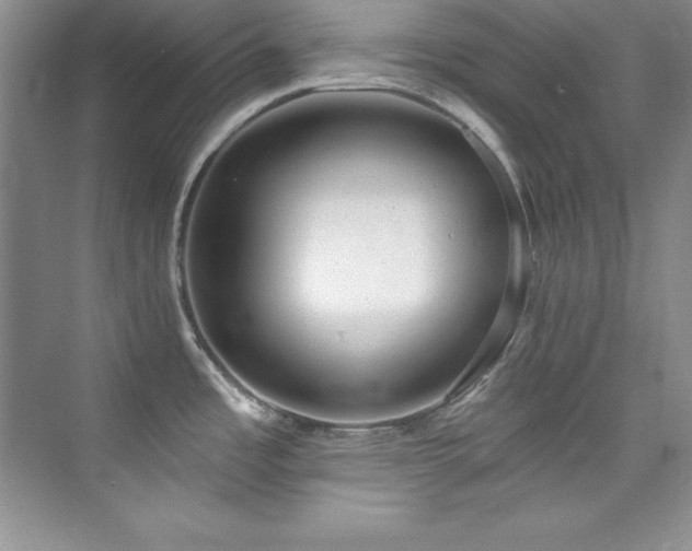X0000076241485200609281127