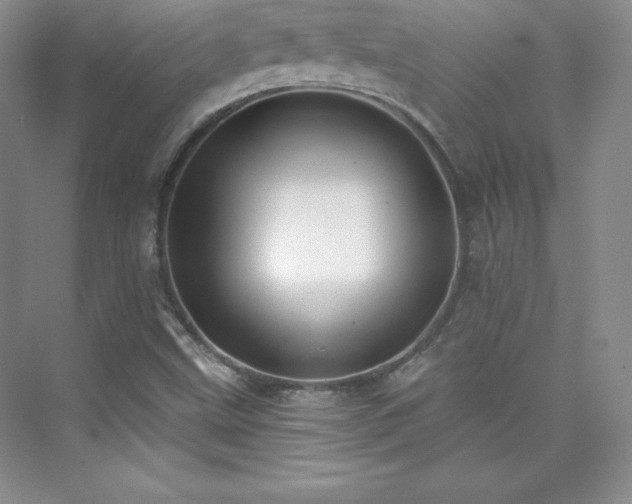 X0000076241499200609281126
