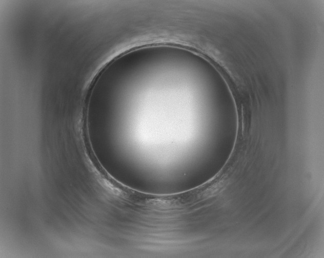 X0000076241500200609281126