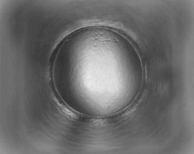 X0000076241501200609281126