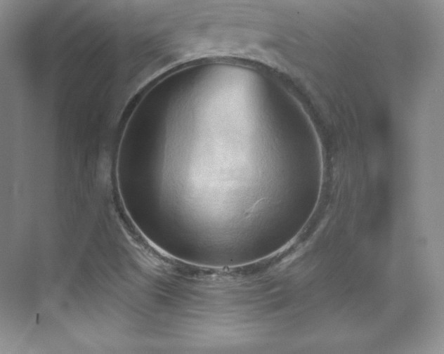 X0000076241505200609281126