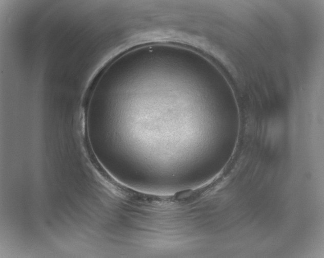 X0000076241509200609281126