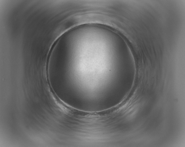 X0000076241513200609281126