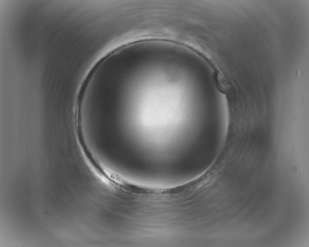 X0000076241519200609281127