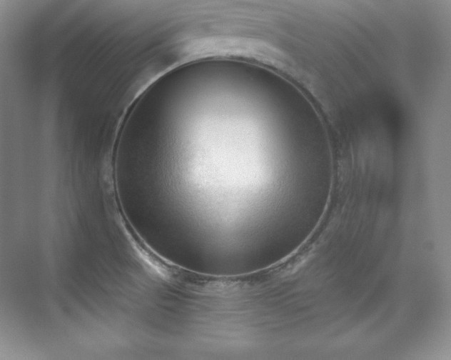 X0000076241521200609281127