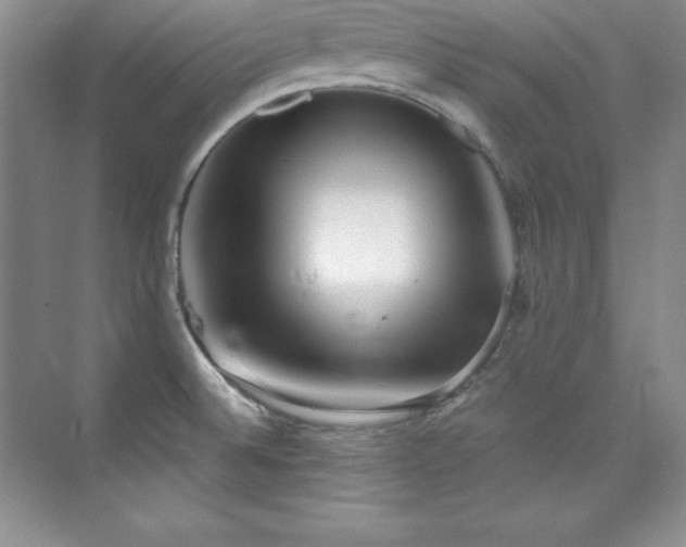 X0000076241524200609281127