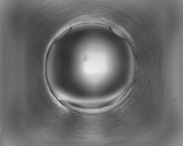 X0000076241528200609281127