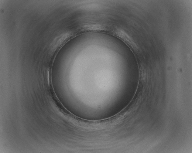 X0000076240014200610051207