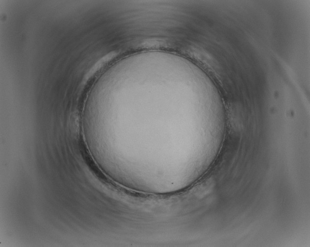 X0000076240016200610051206