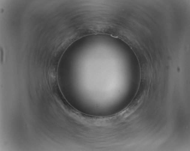 X0000076240040200610051206