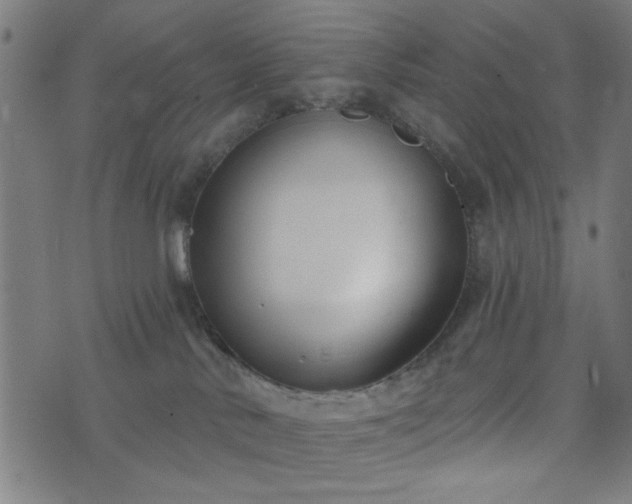 X0000076240042200610051206