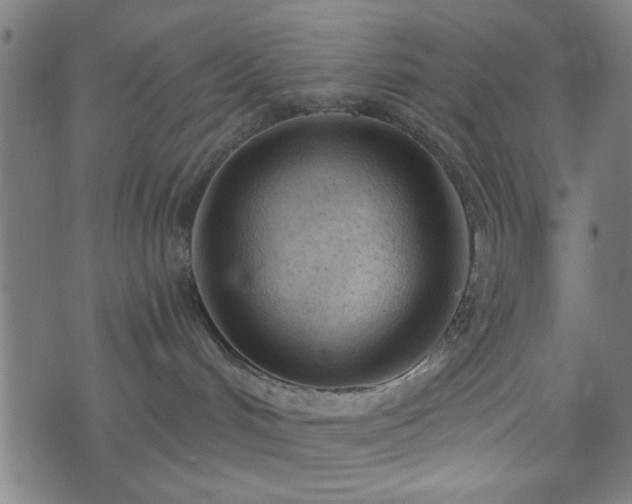 X0000076240048200610051206