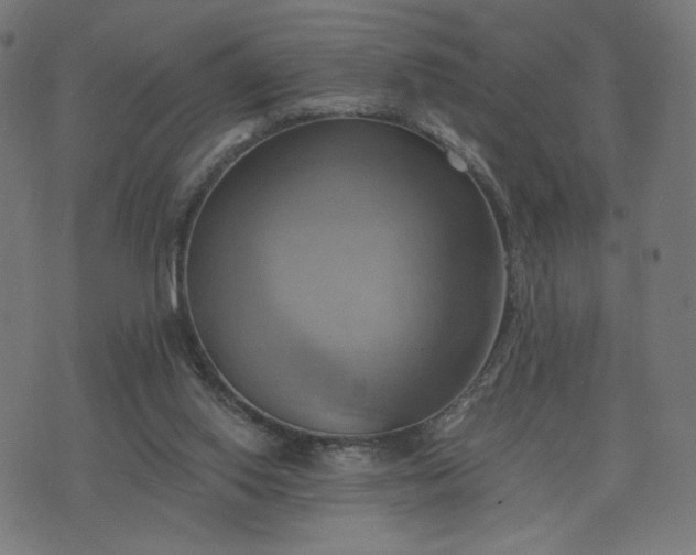 X0000076240062200610051205