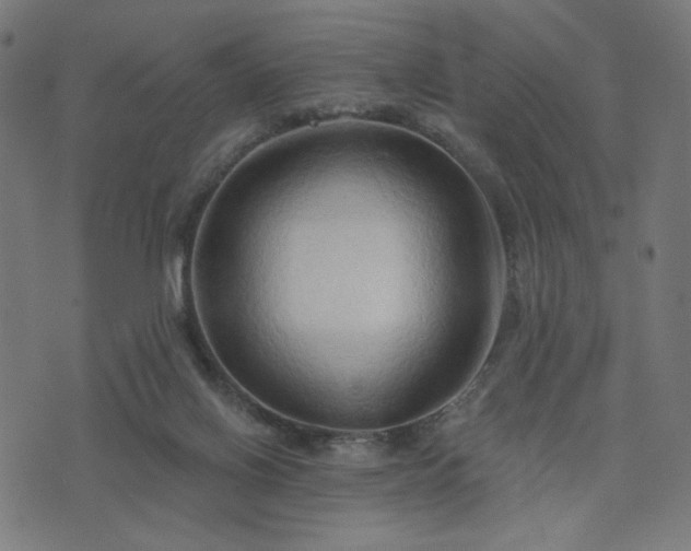 X0000076240070200610051206